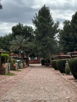 a cobblestone road in a yard with trees at Atlas AGUELMAM in Bine el Ouidane