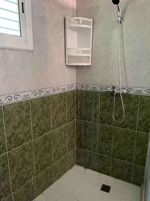 a bathroom with a shower with a green tiled wall at Appartement chaleureux Azrou in Azrou