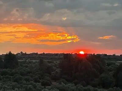 a sunset over a field of trees with the sun setting at Villa Andaloussya, Majorel Host in Aït Ourir