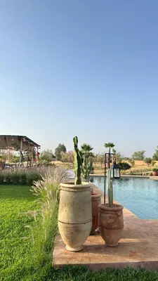 a group of potted plants sitting next to a pond at Villa Beij in Marrakech
