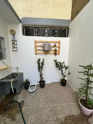 a room with potted plants on the side of a wall at spacious apartment with terrace in Fès