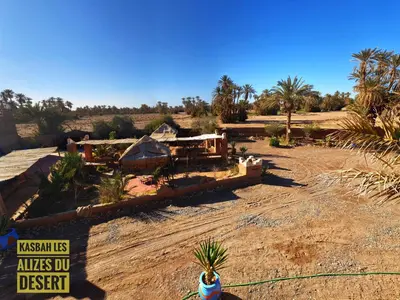 a view of a desert with palm trees and a sign at Kasbah Les Alizes Du Desert in Mhamid