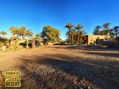 a dirt road in a desert with palm trees at Kasbah Les Alizes Du Desert in Mhamid