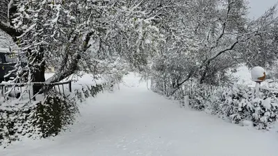 a snow covered path with trees and a fence at Houcine gite in Taza