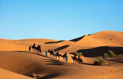 a group of people riding on camels in the desert at Merzouga luxury desert camps in Merzouga