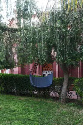 a tree with a swing hanging from a tree at Villa DALIA - artistic and Cultural Residence in Aghmat