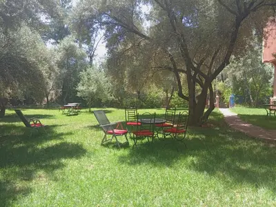 a group of chairs and a table in the grass at Maison Touria in Ouzoud