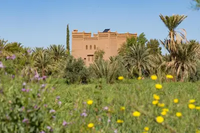a building in the background with a field of flowers at Auberge Ksar Jallal in Ksar Oled Cherki