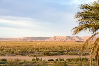 a palm tree in the desert with mountains in the background at Auberge Ksar Jallal in Ksar Oled Cherki