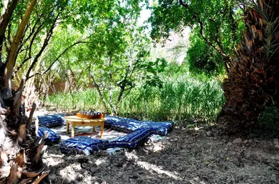 a group of blue cushioned chairs around a wooden table at PALM'SKOURA in Skoura