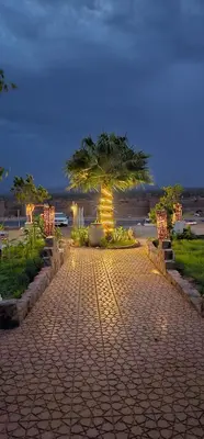a brick walkway with a palm tree in the middle at Kasbah of Peace Draa Valley Zagora in Zagora