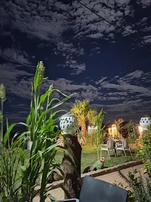 a view of a garden at night at Kasbah of Peace Draa Valley Zagora in Zagora