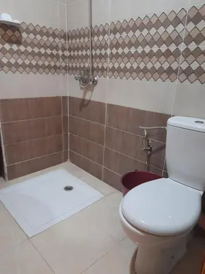 a bathroom with a toilet and a shower at Appartement au centre de la ville de Meknès in Meknès
