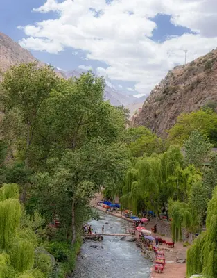 a river in a valley with trees and a mountain at Hôtel Restaurant ASGAOUR in Amlouggui