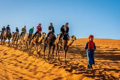 a group of people riding camels in the desert at Camp Sahara Dunes in Mhamid