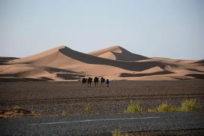 a group of people walking in front of sand dunes at Chez les habitants in Merzouga