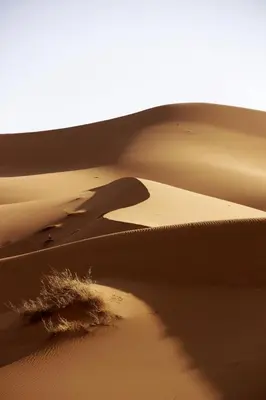 a sand dune in the desert with the shadows at Chez les habitants in Merzouga