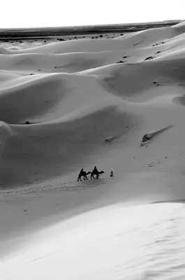 two people riding horses on the sand in the desert at Chez les habitants in Merzouga