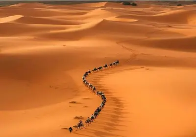 a group of people walking through the desert at Safari luxury desert camp in Merzouga
