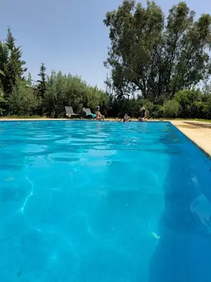 a group of people in a swimming pool at Dar HAKIM piscine privée in Marrakech