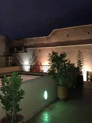 a building with two potted trees on a balcony at night at Dar S'BAH in Fès