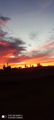 a sunset in the middle of a field at Sahara Camp Light in Mhamid