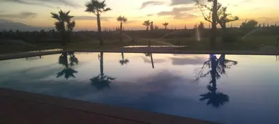 a reflection of palm trees in a pool of water at Igrane House in Marrakech