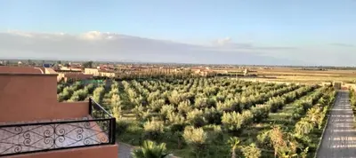 a view from a balcony of a plantation of trees at Igrane House in Marrakech