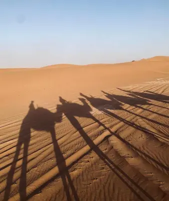 a shadow of a person riding a camel in the desert at Riad Dar Fadma in Ouarzazate