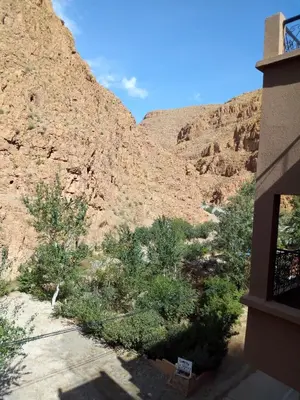 a view of a canyon with bushes and a mountain at Hôtel Restaurant La Gazelle De Dades in Akhendachou nʼAït Ouffi