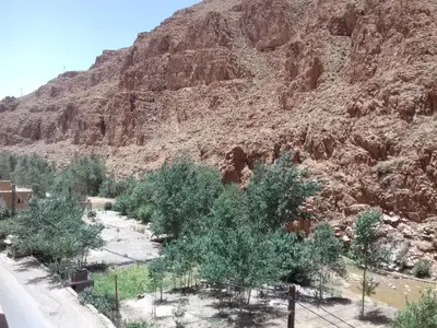 a mountain with trees in front of a road at Hôtel Restaurant La Gazelle De Dades in Akhendachou nʼAït Ouffi