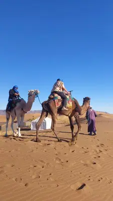 two camels walking in the sand in the desert at Tinfou desert camp in Beni Ali
