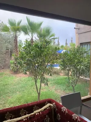 a view of a field with palm trees from a window at Maison moalem in Marrakech