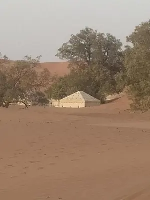 a building in the middle of a desert with trees at Merzouga Prestige Camp in Merzouga