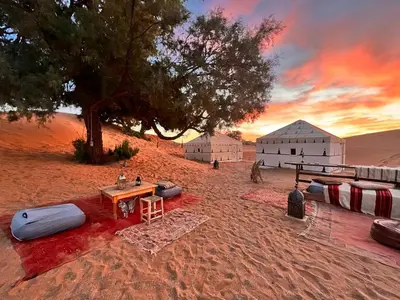 a picnic table in the desert with a tree and buildings at Merzouga Prestige Camp in Merzouga
