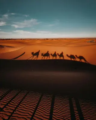 a group of people riding camels in the desert at Merzouga Magic Carpet camp in Merzouga