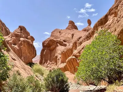 a view of a canyon with rocks and trees at ECOLODGE MISS ROSE CHEZ LA FAMILLE in Boumalne