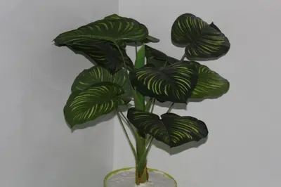 a green plant in a vase on a table at Yassers Residence in Er Rachidia