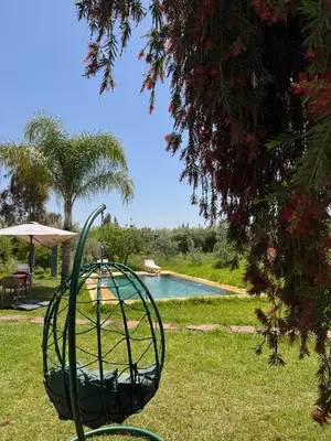 a metal basket in the grass next to a pool at Motia's farm in Marrakech