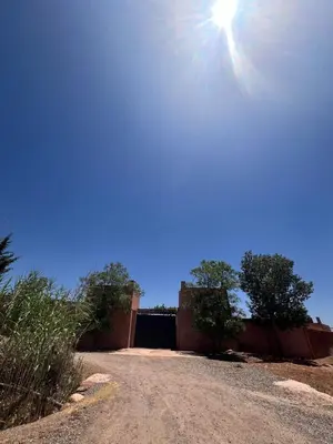 a dirt road with the sun in the sky at Motia's farm in Marrakech