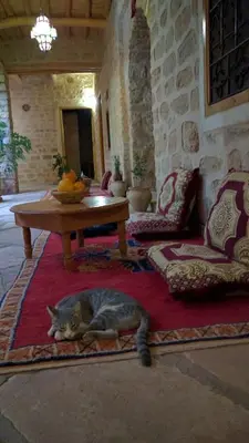 a cat laying on a rug in a living room at Kasbah Dar Talouste in Afela nʼIsly