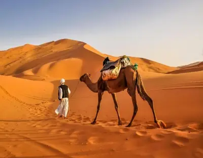 a man walking a camel in the desert at Merzouga Luxury Dunes Camp in Merzouga