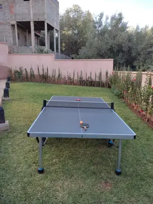 a ping pong table in the grass in a yard at Riad Timskrine in Ourika