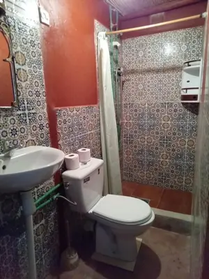 a bathroom with a toilet and a sink and a shower at Hotel AZUL Todra Gorges in Tinerhir