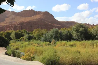 a river in a field with a mountain in the background at Kasbah lucas in Akhendachou nʼAït Ouffi