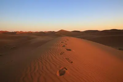 a view of a desert with footprints in the sand at Sahara Berber Camp - Mhamid Discovery Camp in Mhamid El Ghizlane