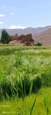 a field of green grass with a building in the background at Auberge haut atlas in Tinerhir
