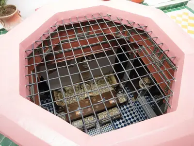 a cat in a cage in a pink box at Dar Chrif Idrissi in Fès