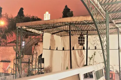 a group of birds sitting on top of a building at Maison Adam in Fès