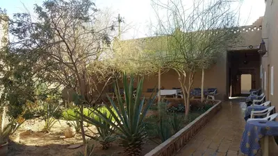 a courtyard with tables and chairs and trees at Auberge Chez Julia in Merzouga